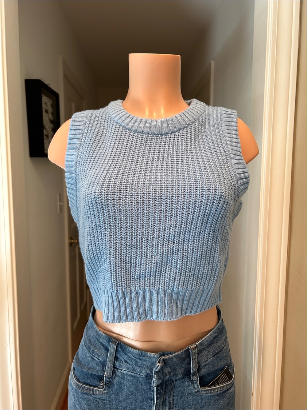 Ribbed Knit Sleeveless Crop Top in Light Blue